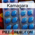 Kamagara viagra2